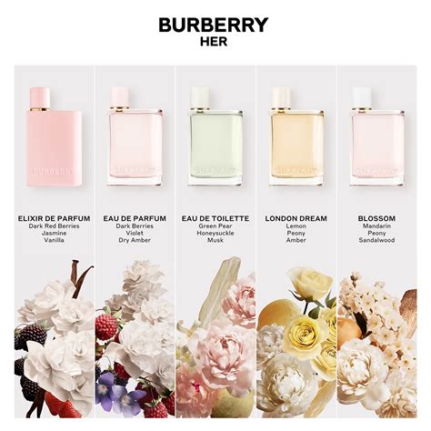 burberry her elixer set|Burberry Her perfumes.